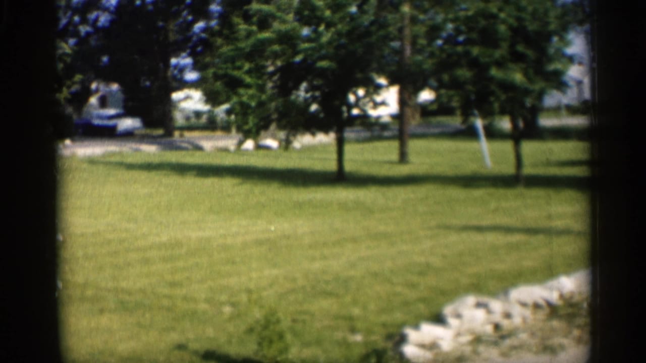 Green lawn with trees, a low rock border, and a partially visible parked car.