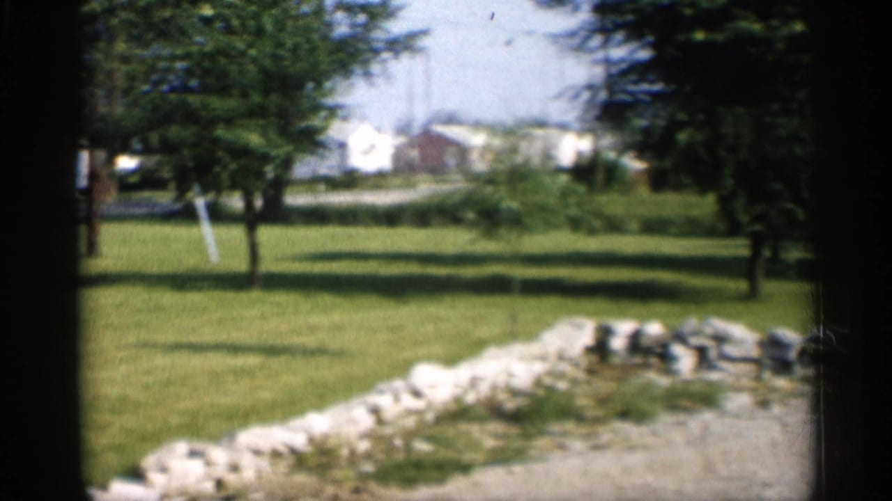 Grassy yard with trees, rock edging, driveway, and distant houses.