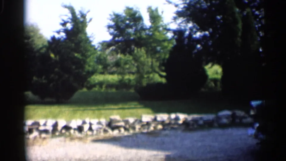 1959 Indiana frame with a gravel drive in the foreground, low stone edging, bright lawn, mature trees, and dark shrubs.