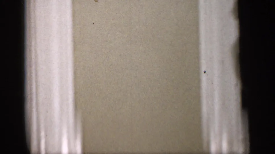 A plain wall and white door trim fill the frame inside the Michigan home, with no clear person centered.