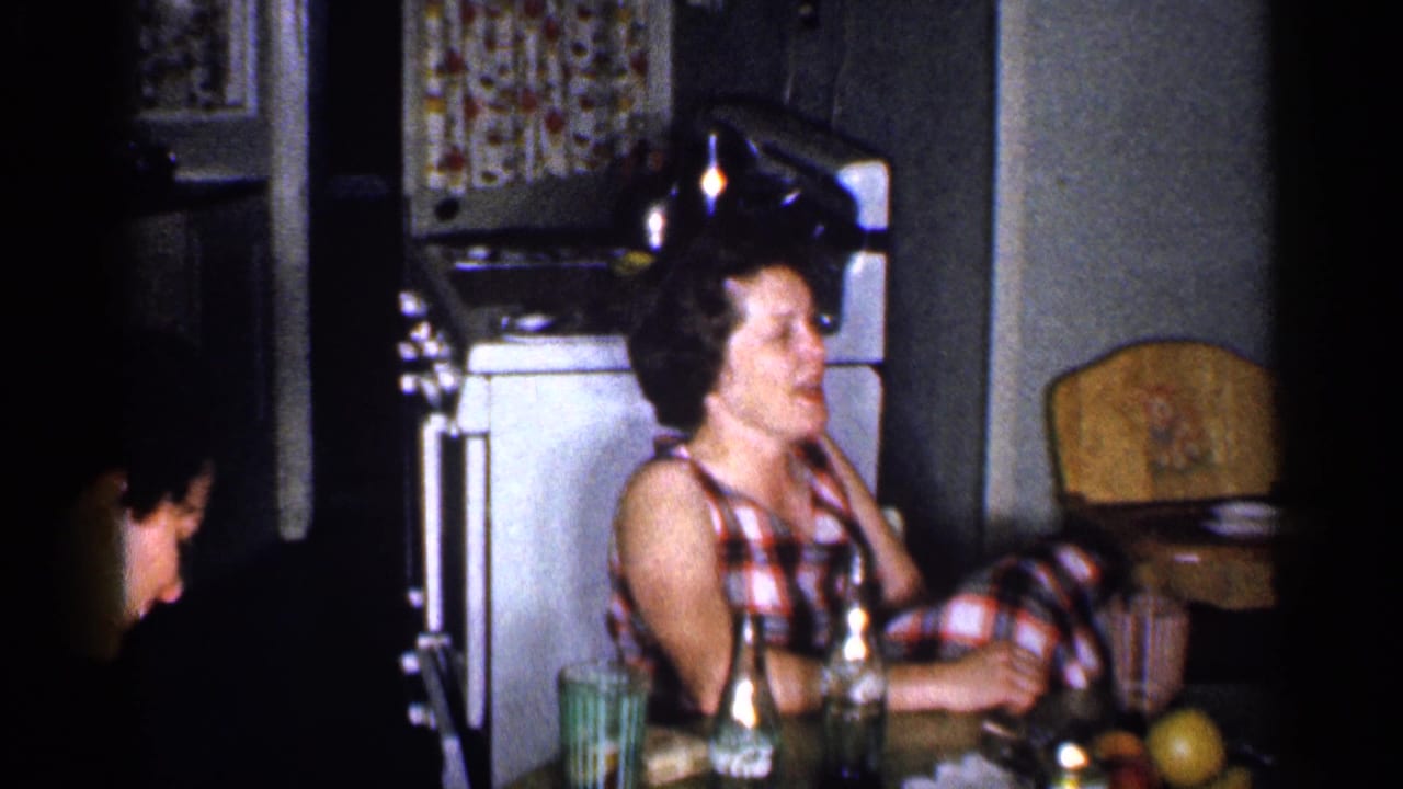 A woman in a red and white plaid dress sits at the kitchen table in this Michigan 1959 home-movie frame, with bottles and a refrigerator behind her.