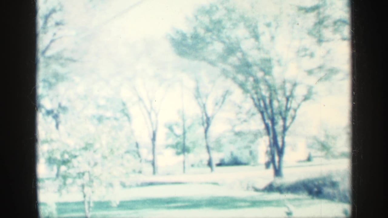 Bright lawn with trees and bushes, seen through dark frame borders.