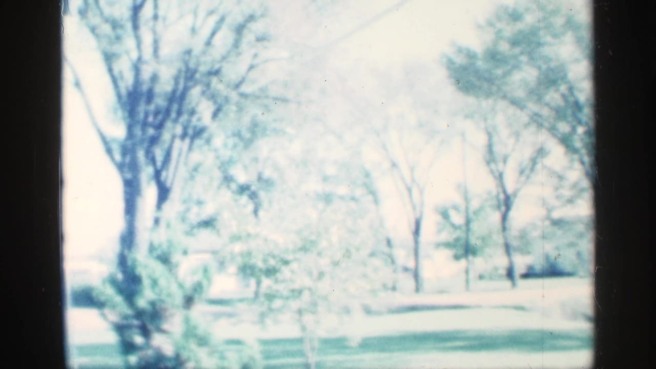 Soft 8mm frame from Michigan in 1959 showing a bright green lawn, mature trees, and scattered shrubs in a residential park-like area.