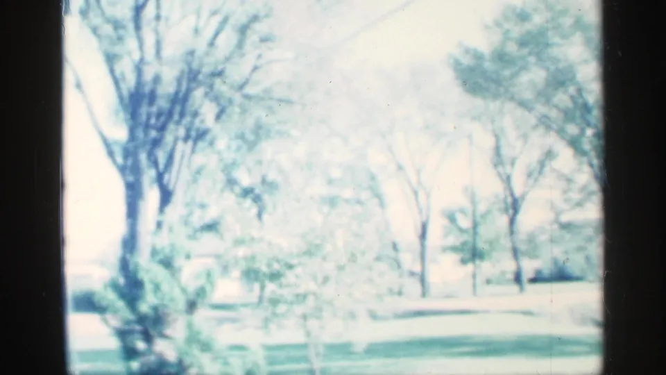 Soft 8mm frame from Michigan in 1959 showing a bright green lawn, mature trees, and scattered shrubs in a residential park-like area.