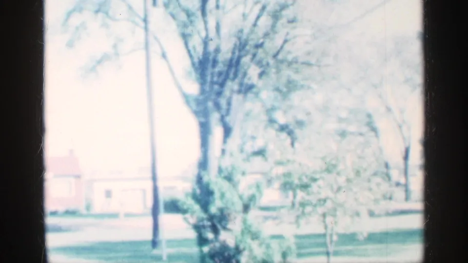 1959 Michigan home-movie frame showing a tree, leafy bushes, open grass, and distant modest houses partly obscured by foliage.