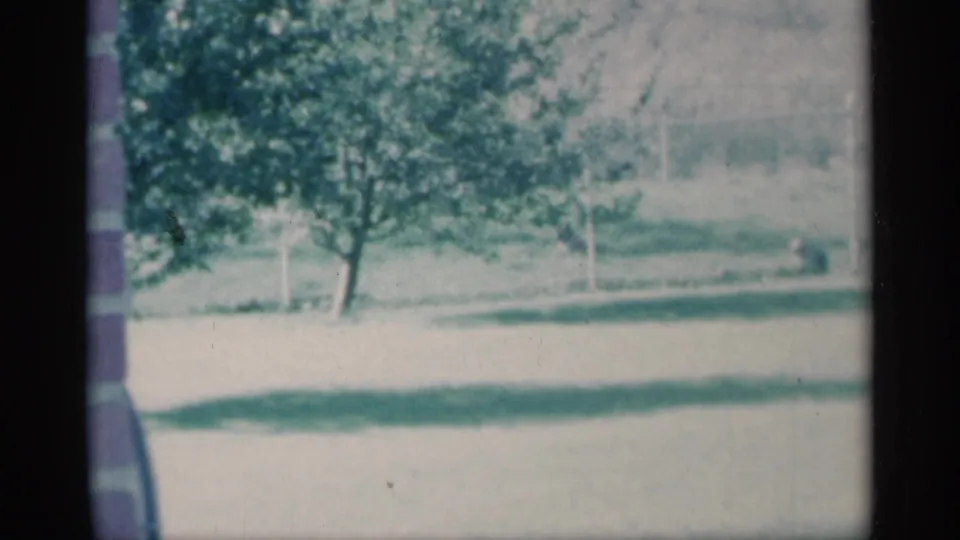 Faded 8mm frame of a Michigan yard with bright grass, leafy trees, shadows, and a pale background structure.