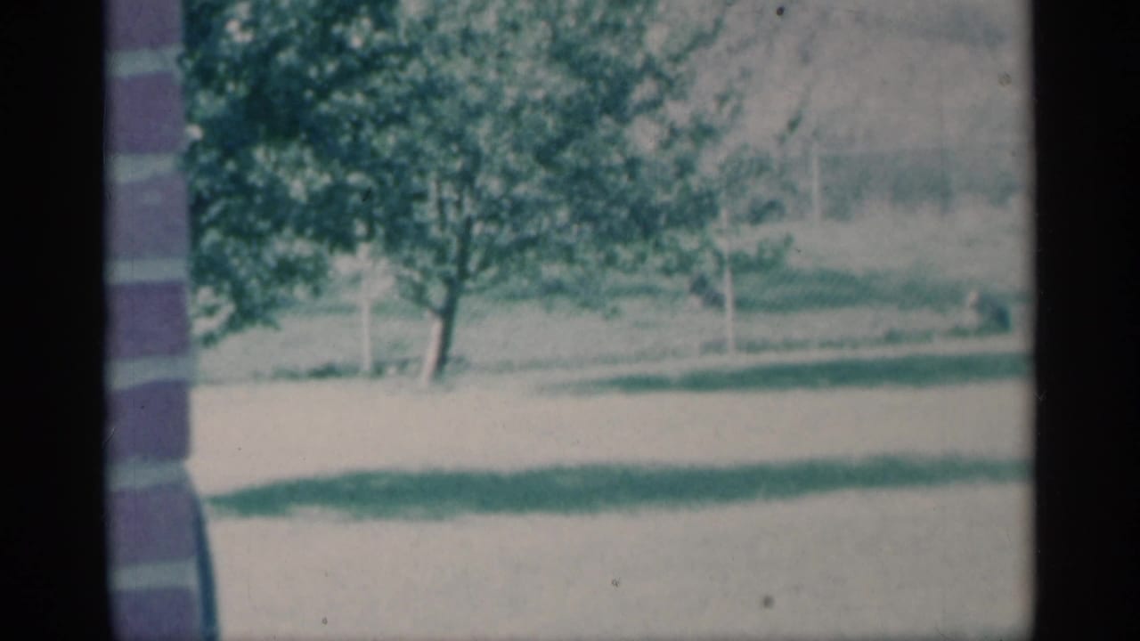 1959 Michigan home-movie frame showing a leafy tree, lawn, and part of a nearby structure in a rural home setting.