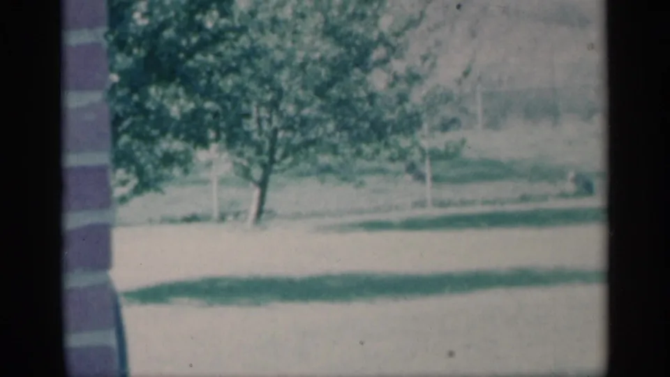 1959 Michigan home-movie frame showing a leafy tree, lawn, and part of a nearby structure in a rural home setting.