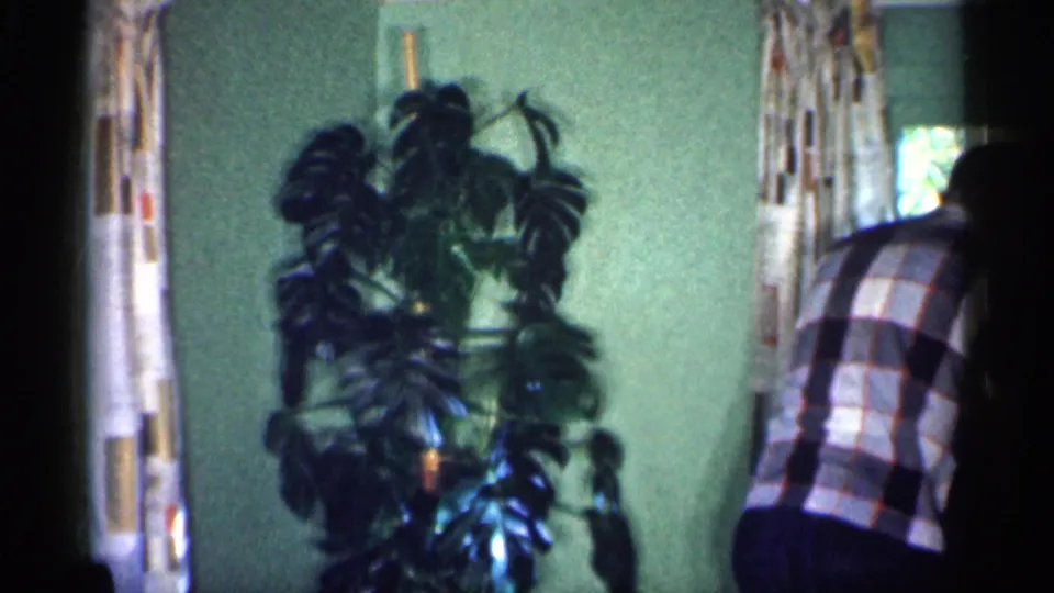 A large potted plant dominates the 1959 Michigan living room view while the man in plaid bends near furniture by the window.