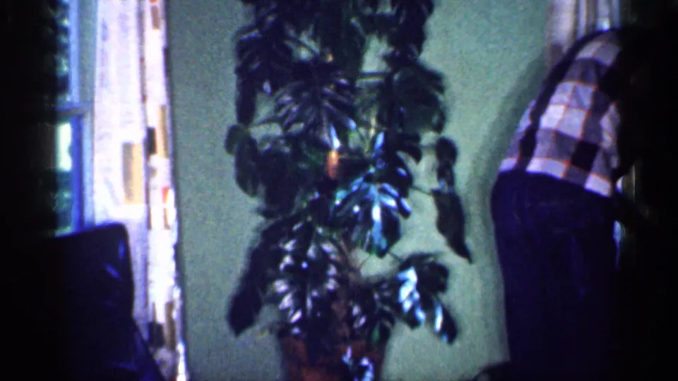 The man in plaid is partly visible at the edge of a 1959 Michigan home interior, with a large potted plant and curtained window in view.
