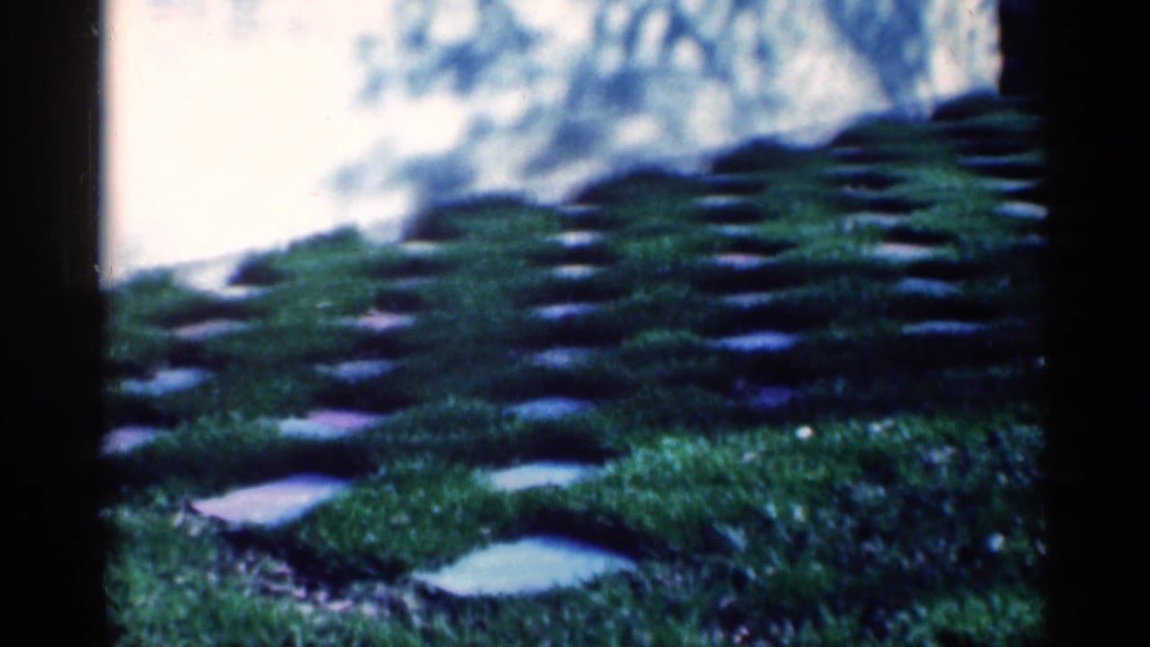 Green lawn with inset stone pavers beside a light house wall.