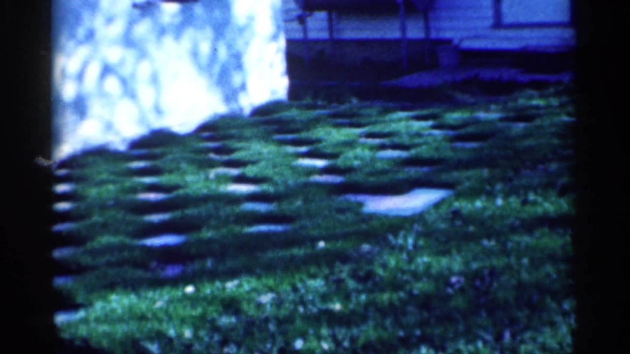 Inset stone pavers continue across a green lawn near a fence or railing.