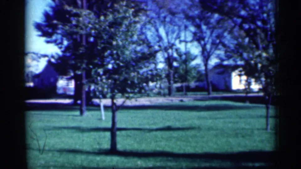 1959 Michigan 8mm frame showing a tree-lined lawn, partially obscured houses, deep shadows, and a quiet residential street edge.