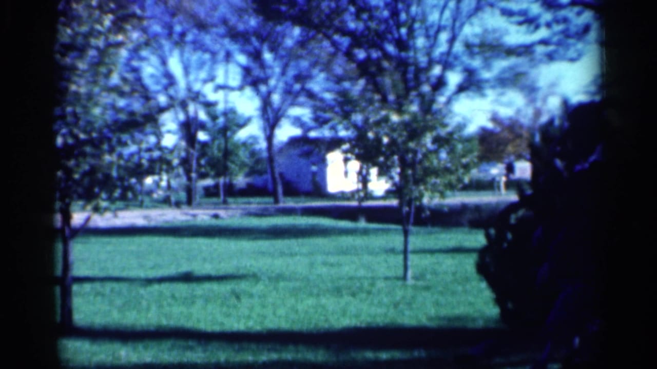 Lawn and trees seen from a shaded edge with houses or small buildings in the distance.