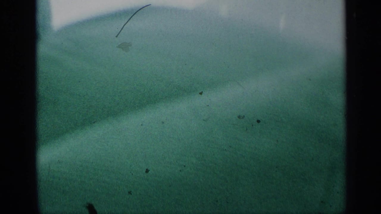 Soft distant bridge line across water with dark frame borders and blue-green tint.