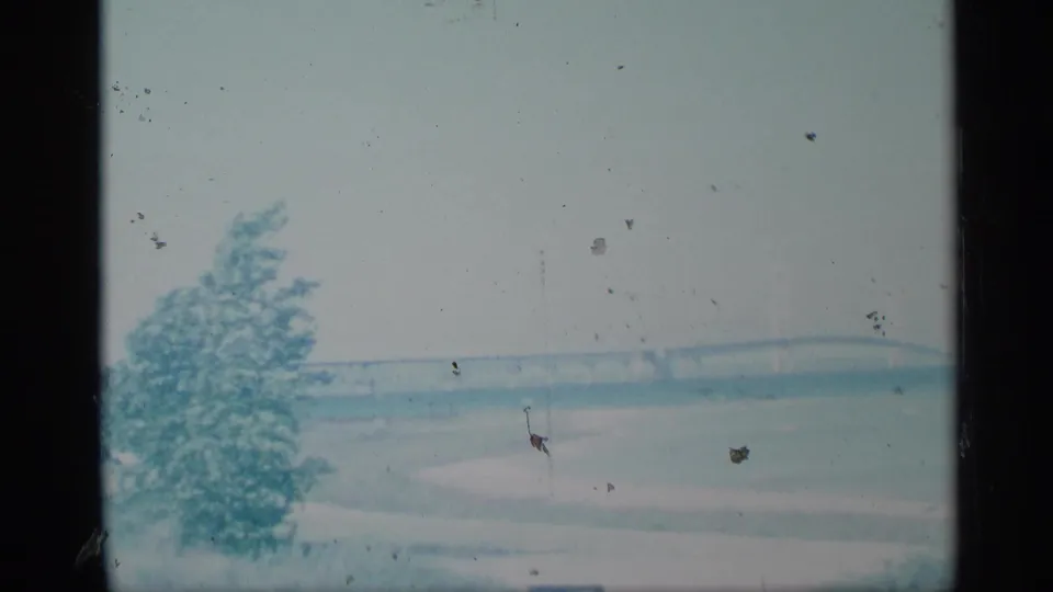 A foreground tree and distant bridge line appear across water in a hazy 1959 8mm travel view.