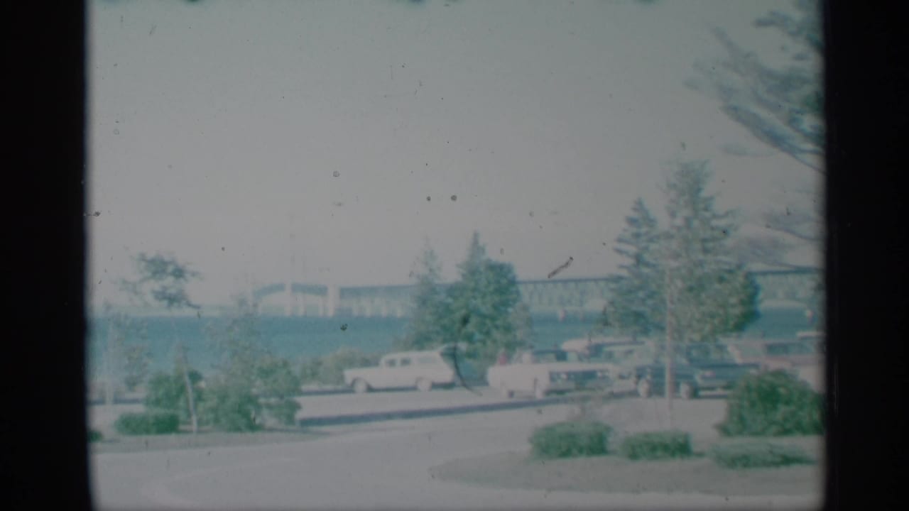 Lakeside park road with classic cars, trees, shrubs, and a distant bridge.