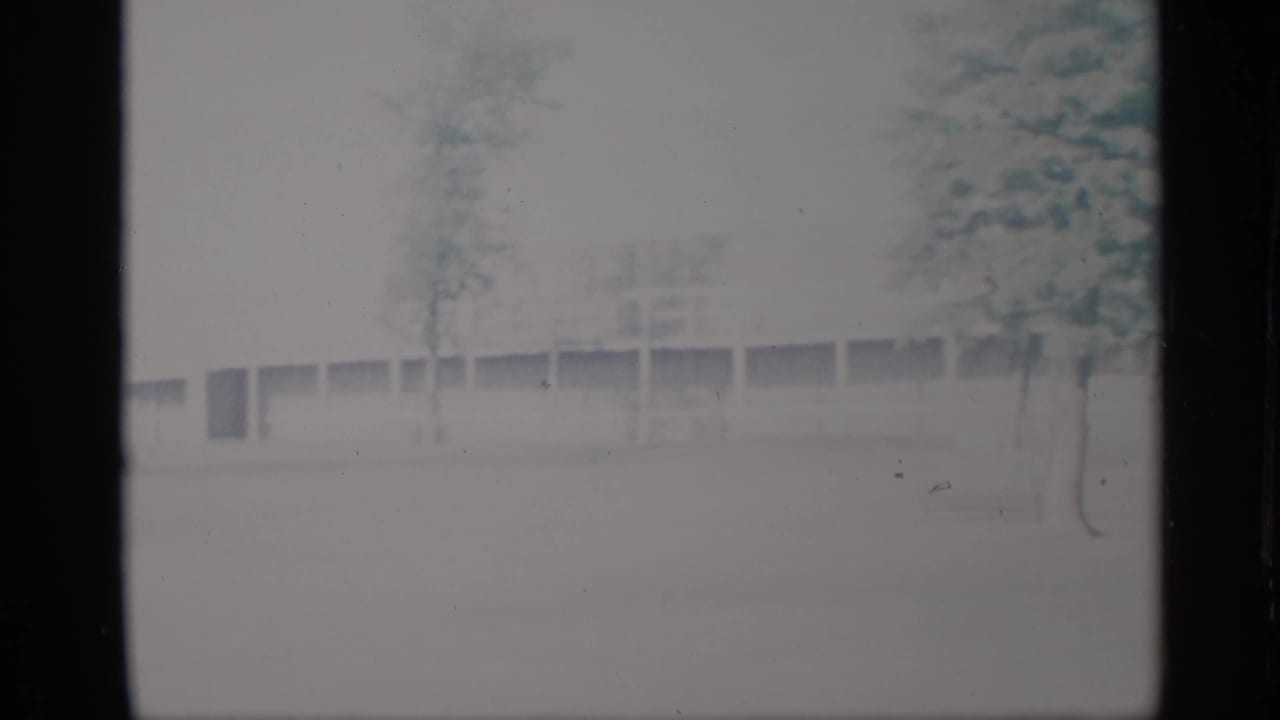 Soft 8mm frame from 1959 New York showing a pale building facade, trees, and indistinct open grounds.