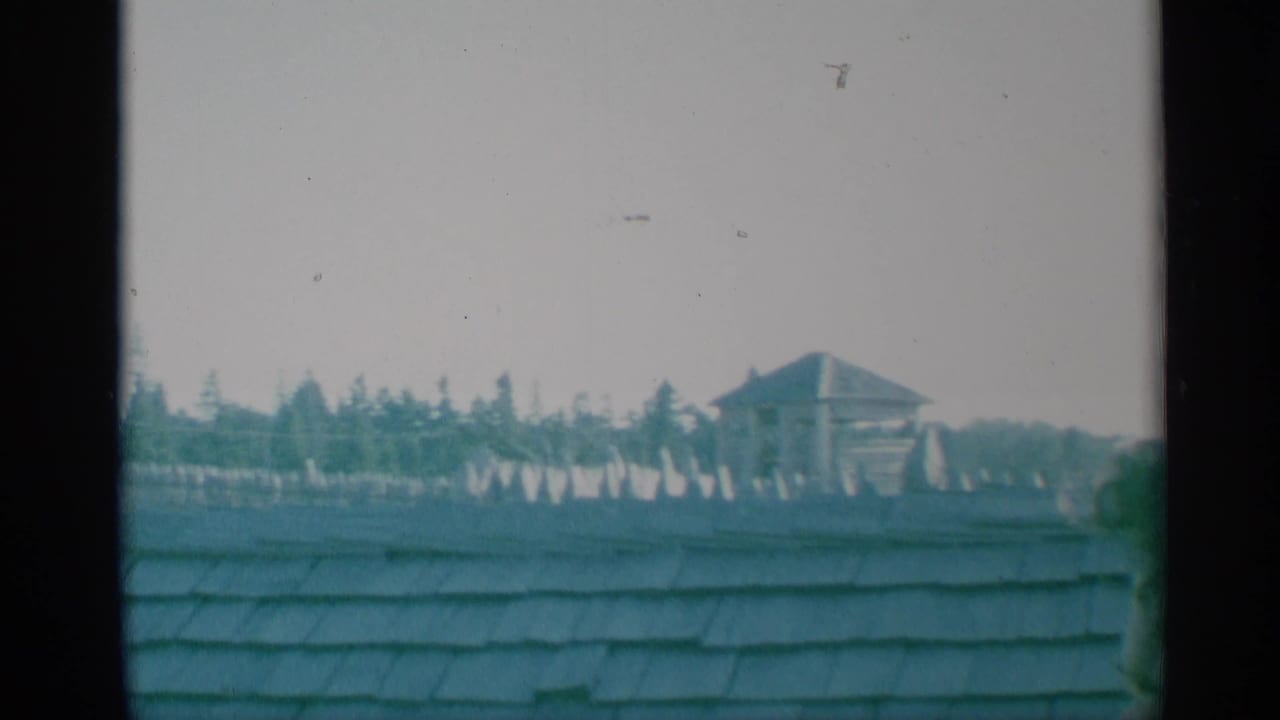 Shingled roofline, pale fence or wall, evergreen trees, and small tower in distance.