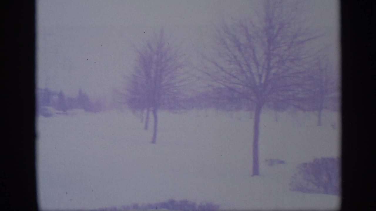 Snowy suburban yard with bare trees and faint houses under a pale sky.