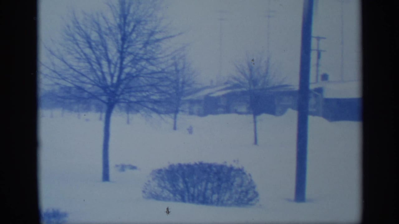 1959 New York winter frame with a leafless tree, hedge, utility pole, and low homes behind deep snow.
