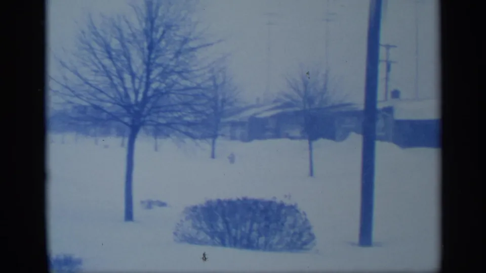 1959 New York winter frame with a leafless tree, hedge, utility pole, and low homes behind deep snow.