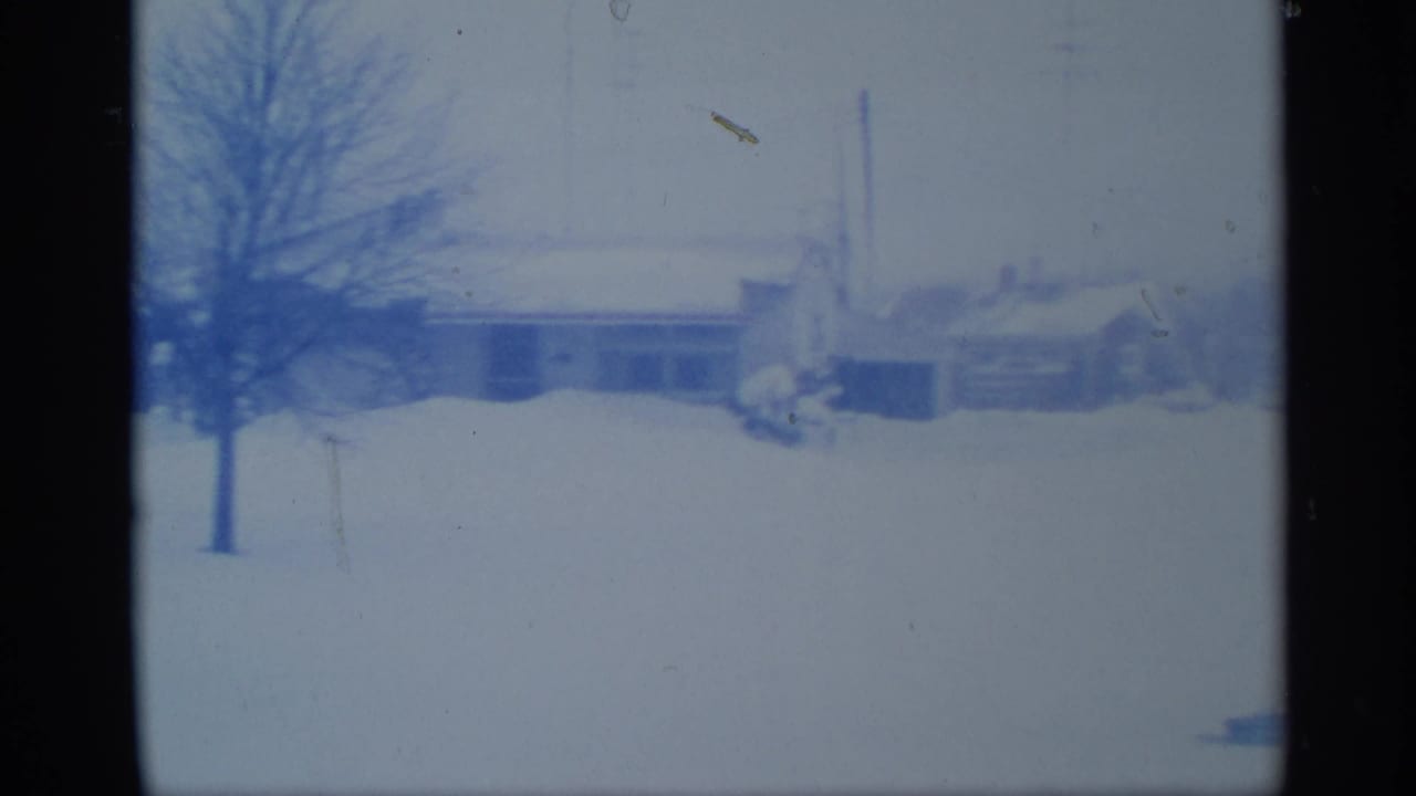 Snowy yard with bare trees and distant low buildings under a gray sky.
