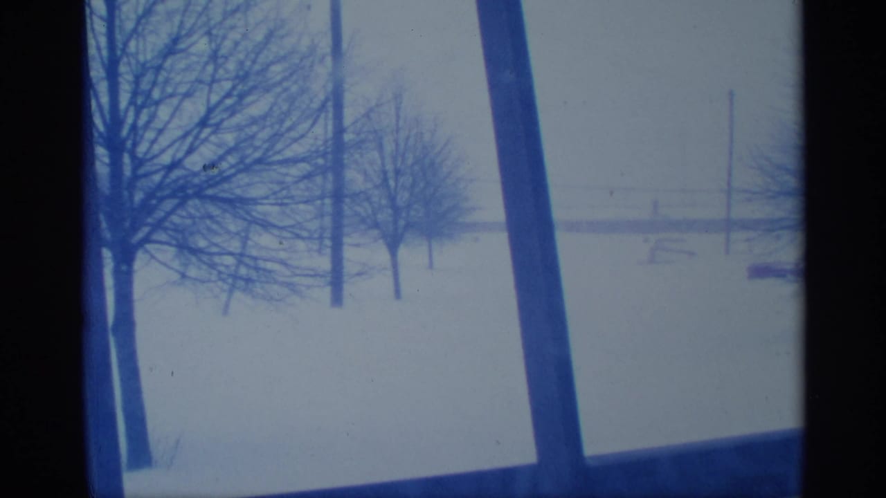 Snowy outdoor lot seen through window panes with bare trees and utility poles.