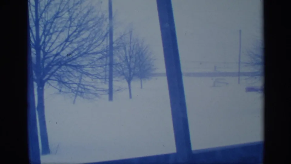 1959 New York winter view through a window, with snow-covered ground, bare trees, distant poles, and a pale sky.
