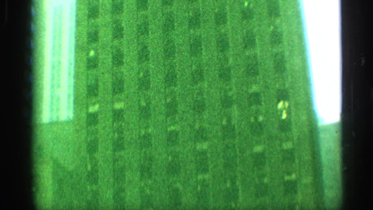 1959 New York 8mm frame showing a low-angle, green-tinted view of a tall building face against pale sky.