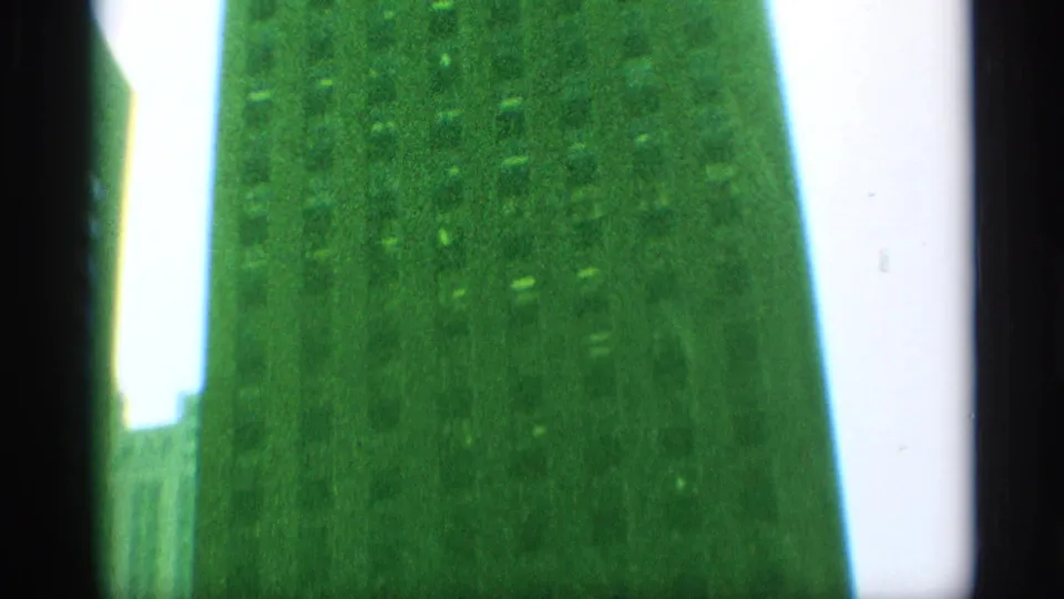 Low-angle 8mm frame with green skyscraper surfaces, a dark central border, and pale sky in the background.