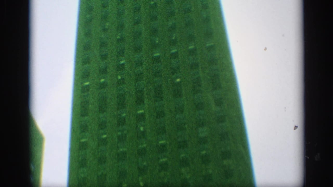 1959 New York home-movie frame showing a tall building facade with faint window rows and heavy green cast.