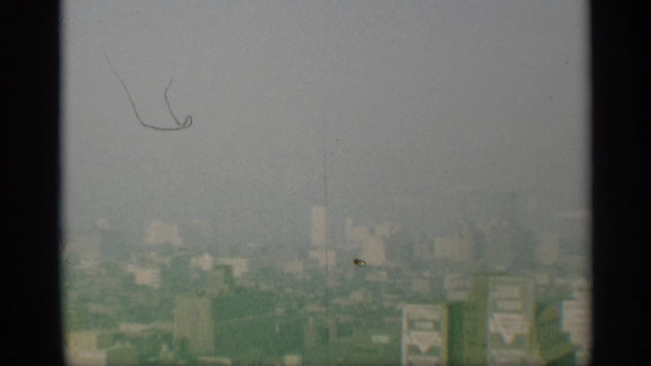 A small bird crosses above a muted, distant New York skyline in this elevated 1959 8mm frame.