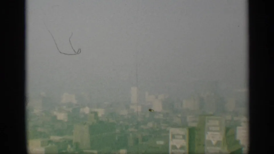 A small bird crosses above a muted, distant New York skyline in this elevated 1959 8mm frame.
