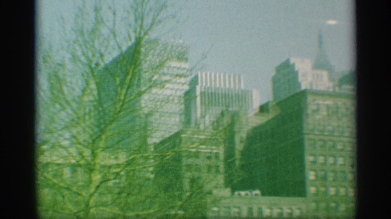 Hazy city buildings behind bare tree branches with a pale sky and green film cast.