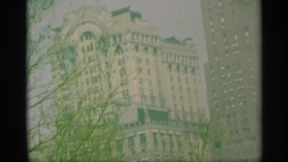 Ornate New York building facade viewed through branches, with a taller modern building at the edge of the frame.