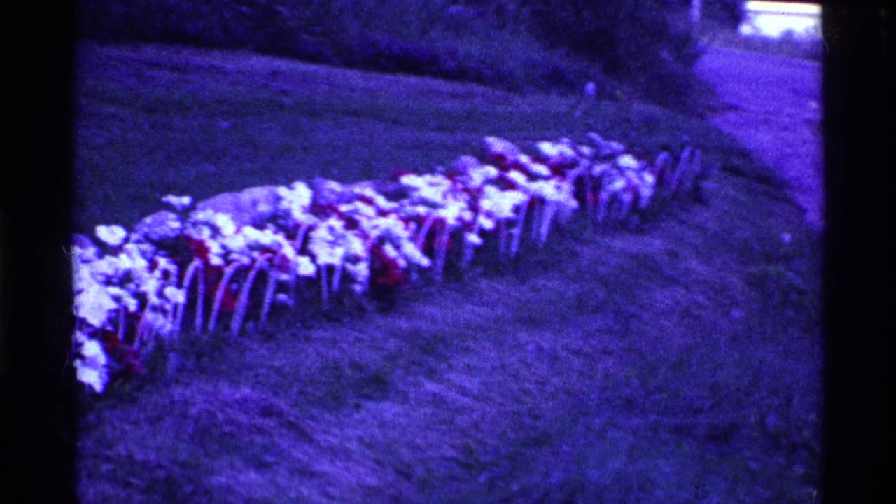 Long row of artificial flowers on metal stakes beside a grassy yard path.