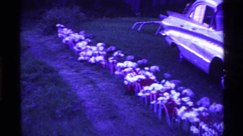 1969 Ohio home-movie frame with artificial flowers on stakes in the foreground and a light-colored classic car parked nearby.
