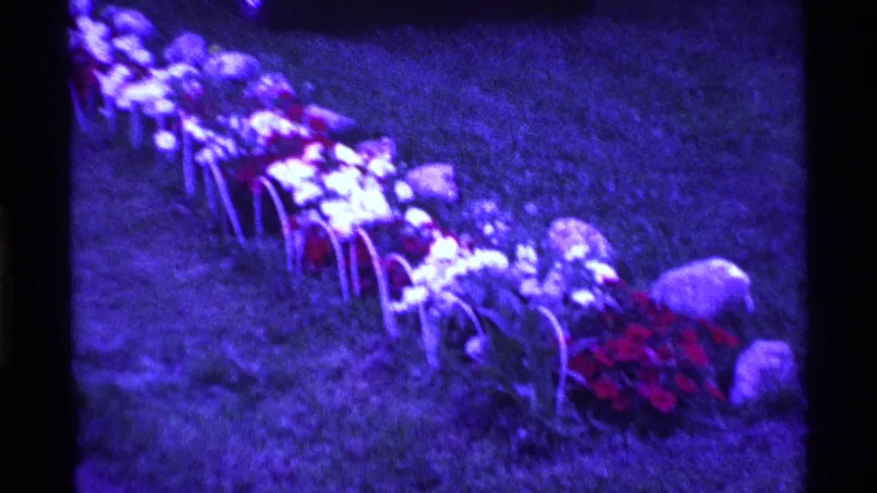 A purple-shifted 8mm view of a grassy Ohio cemetery plot with floral holders, stones, and a parked car at the edge.