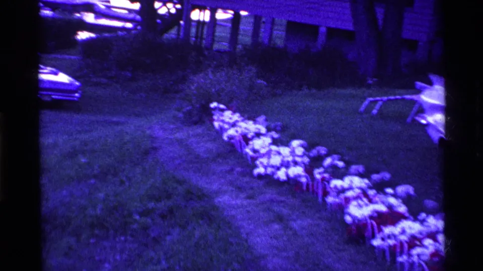 Purple-tinted 8mm view of an Ohio lawn with a row of small objects and a partial vintage car at frame right.