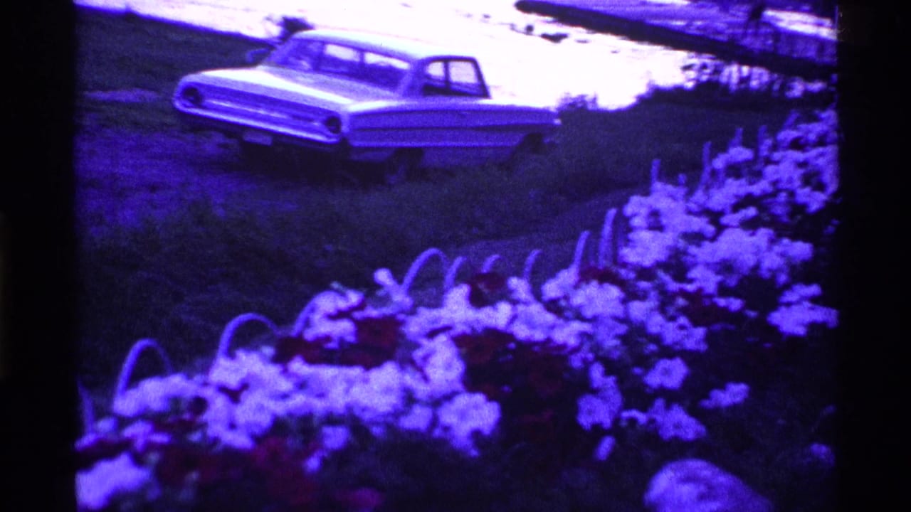 Light-colored classic sedan parked beyond a flower bed with grass and garden plants.