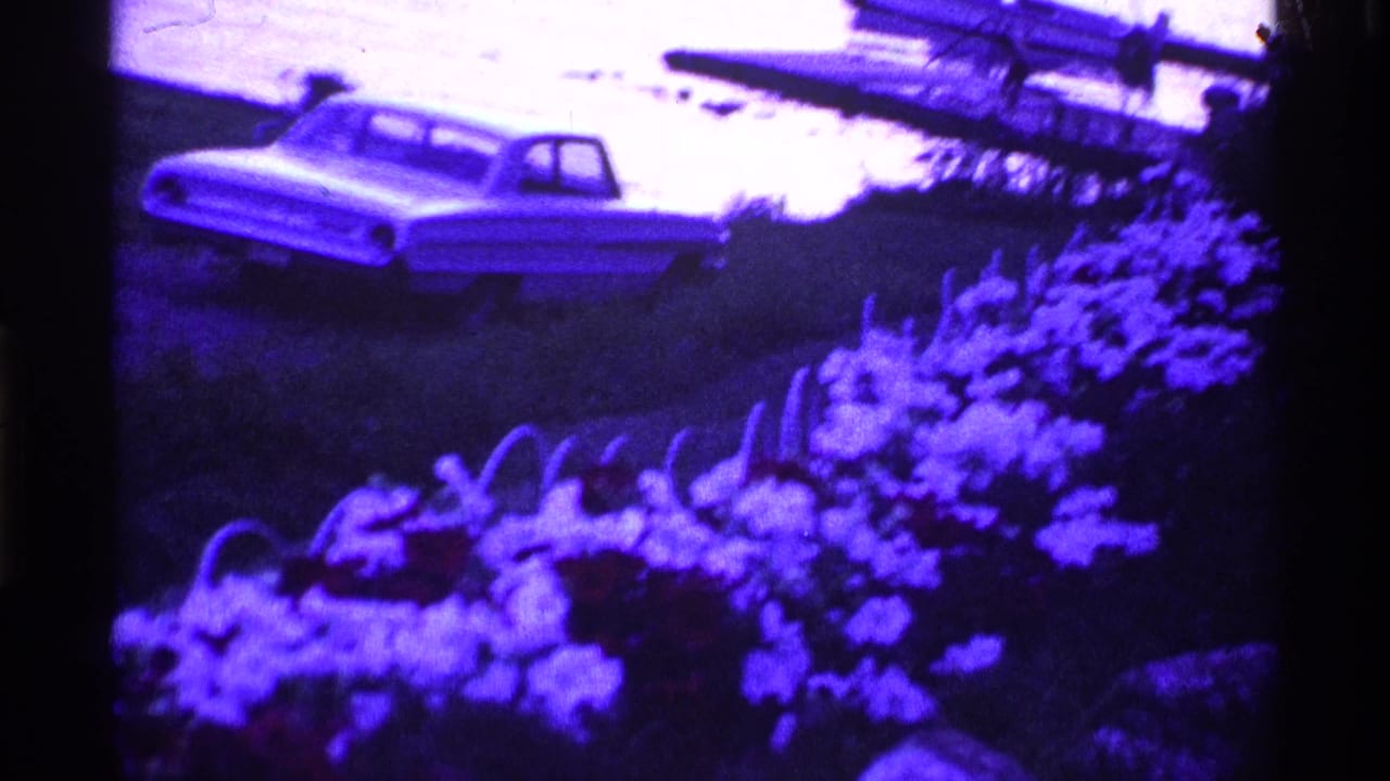Parked sedan near a flower bed, with white blooms and grass in the foreground.