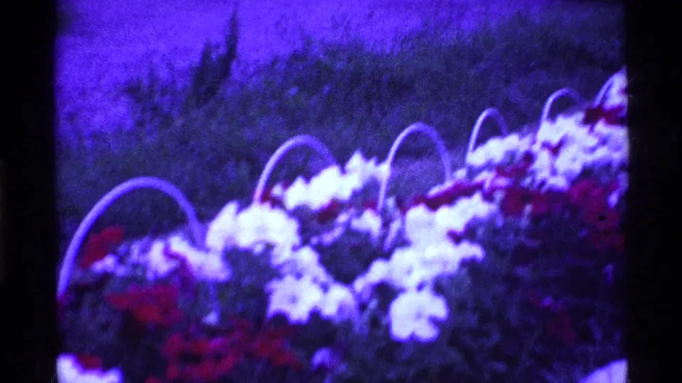 A closer 1969 Ohio frame emphasizes garden flowers and basket-like handles, with the lawn filling the background.