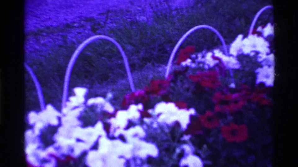 The final home-movie frame holds on the flower bed, showing white blooms, red flowers, curved handles, and grassy ground.