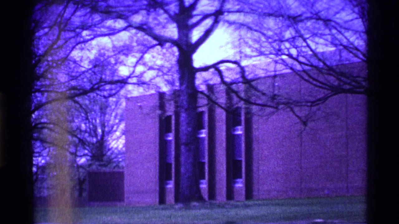 Modern brick campus building seen through bare trees with dark film edges.