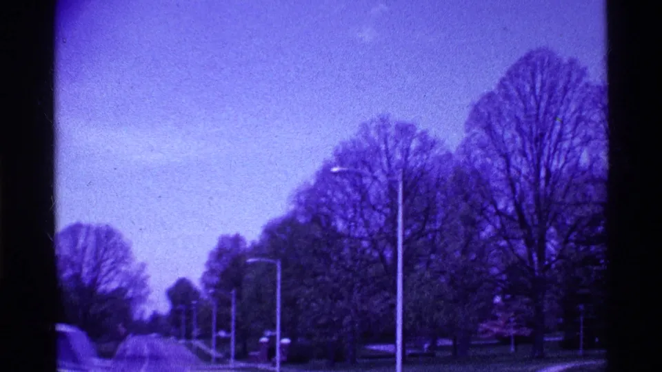 1969 Ohio campus roadway view from a moving car, showing streetlights, bare trees, lawn, and a pale sky with strong purple 8mm color cast.