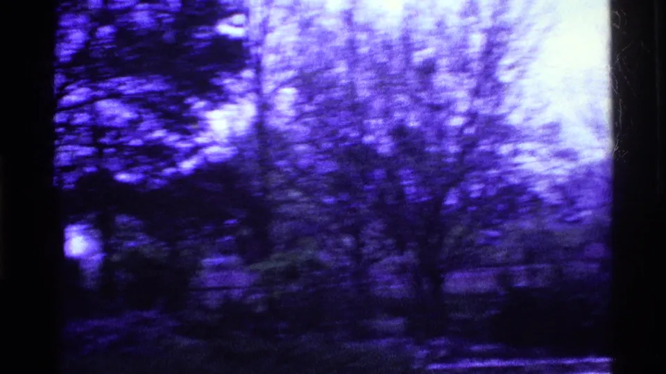Handheld 1969 Ohio frame with blurred trees, roadside vegetation, dark frame edges, and a bright overexposed patch at right.