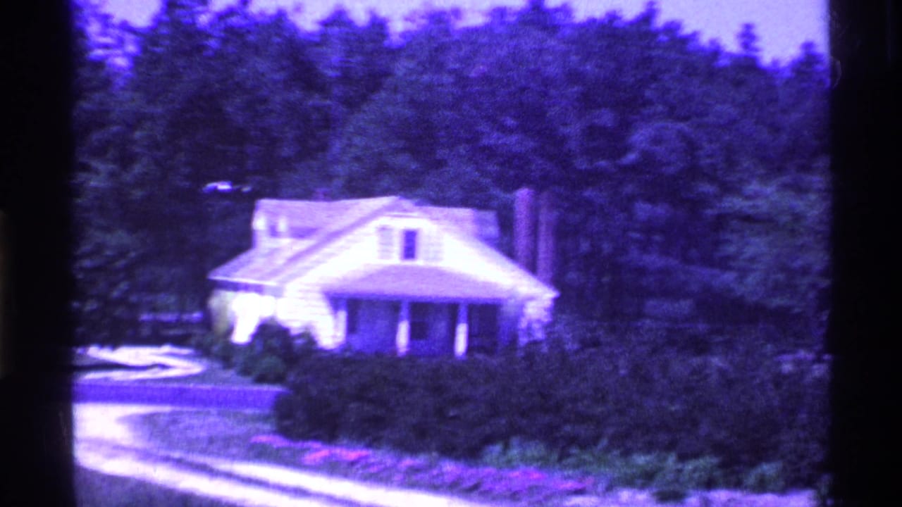 White house with porch behind shrubs and trees beside a pale driveway.
