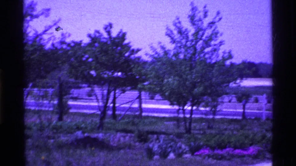 1969 Ohio 8mm frame with leafy trees and shrubs foregrounding a white fence, open field, and distant tree line.