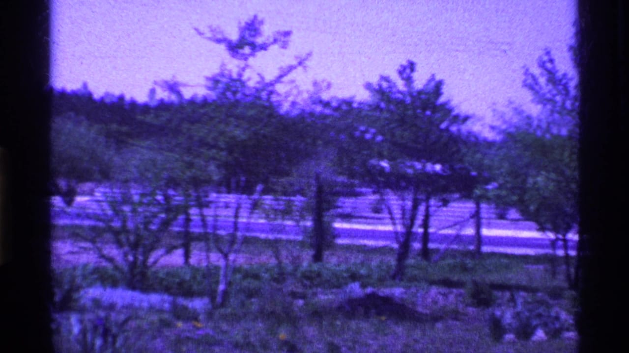1969 Ohio 8mm frame showing a quiet yard with trees, shrubs, sky, and heavy purple-blue film coloration.
